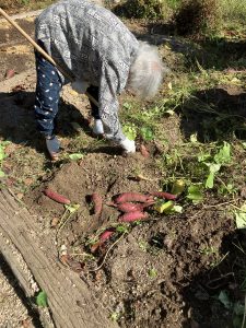 IMG_0145